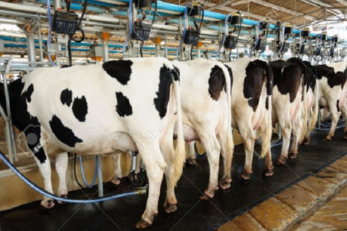 Catálogo Productos Ateinsa