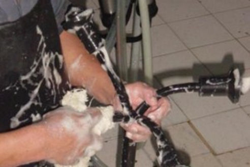 Sanitizantes para Lechería