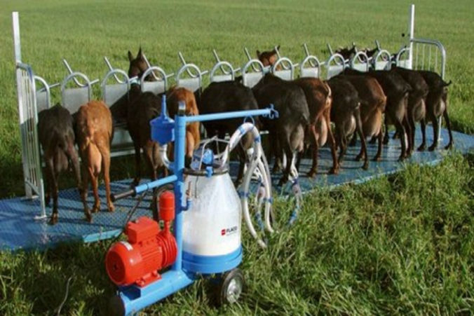 Instalaciones Ordeño Portatil