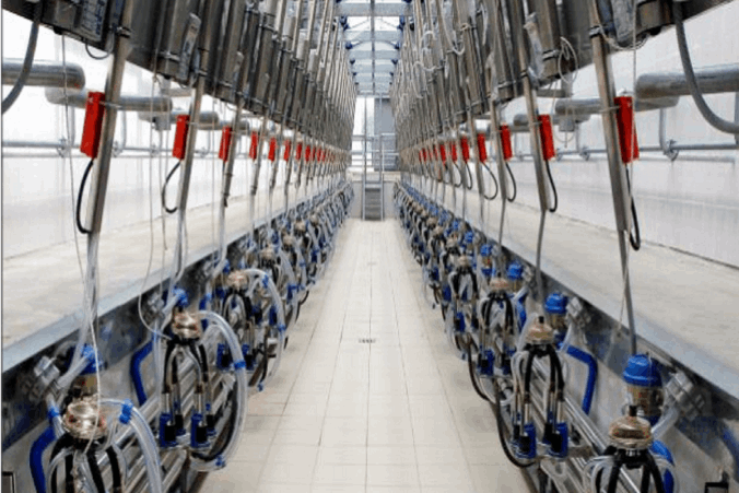 Instalaciones de Ordeño Vacas Búfalos